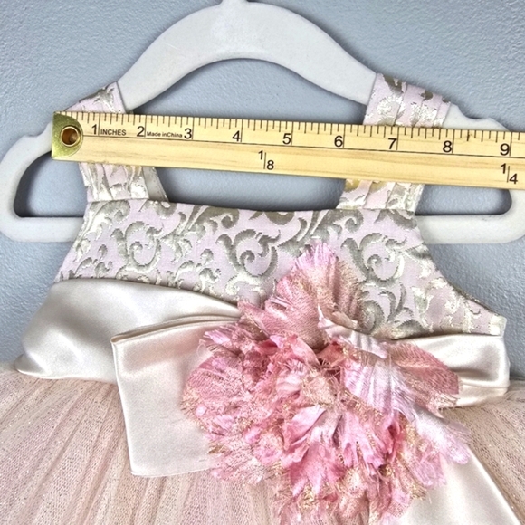 CHANTILLY PLACE Tool Flower Formal Dress Champagne Blush Baby Girl Sz 18 Months - Picture 10 of 12